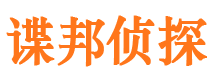 武定市私家侦探